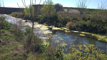 La presa retardadora del Ludueña en Funes: "Es una locura urbanizar ahí".