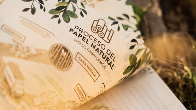 Un proceso que no requiere de fibra de árbol ni blanqueadores químicos.