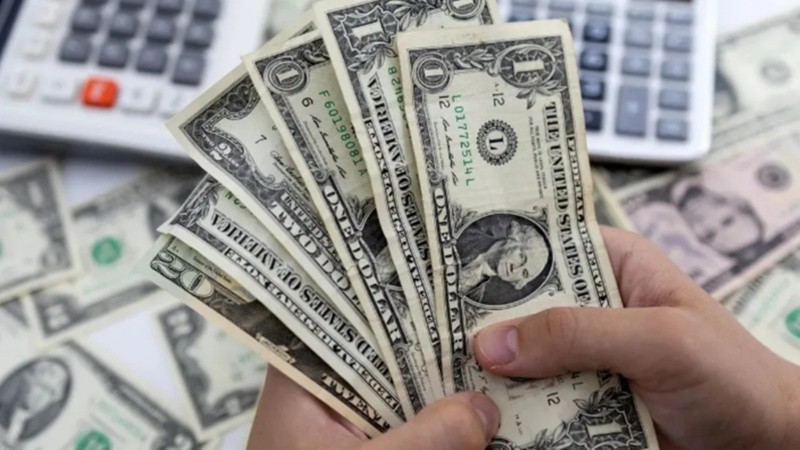 El salario quedaría en 24 dólares con un escenario de dolarización, según Batakis.