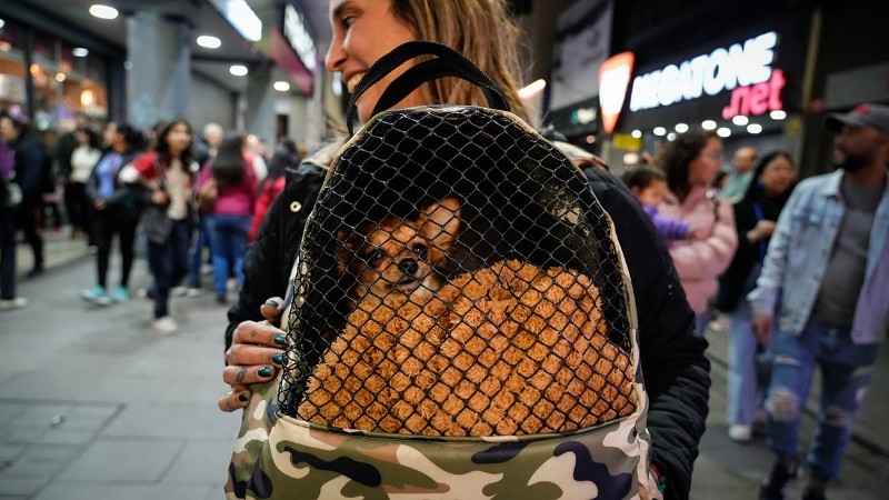 Los animalitos tampoco quisieron perderse semejante noche.