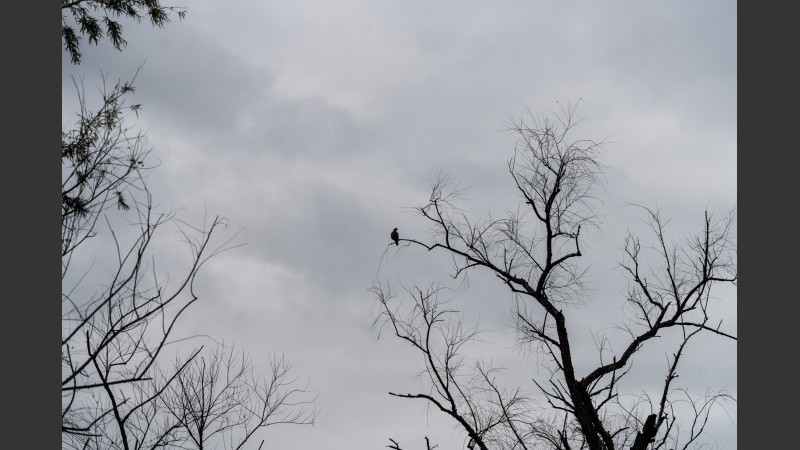Para el fin de semana se espera que la temperatura llegue nuevamente a los 30 grados.
