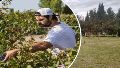 CIancio cosechando en Mendoza y su viñedo de 100 plantas