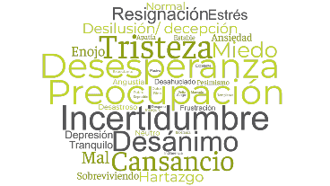 La nube de palabras que generaron las opciones elegidas por los encuestados.