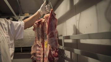 asado_crop1695655480828.jpg_1471664983