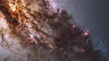 Los investigadores buscaron la autocatálisis más allá de los compuestos orgánicos.