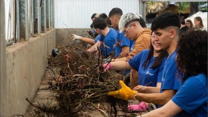 Los jóvenes y adolescentes se capacitan cada año para luego trabajar en la jardinería de la ciudad.