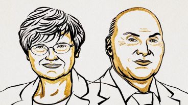 El anuncio del galardón en Medicina abre la ronda de anuncios de estos premios.