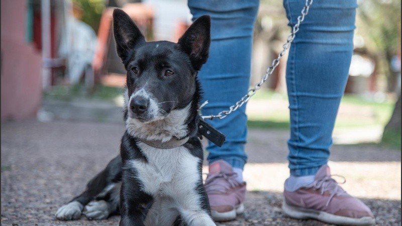 Subsecretaría de Comunicación Social.