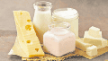 El Gobierno oficializó la suspensión de retenciones para productos lácteos