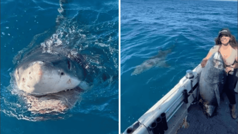 La mujer dijo que no sintió miedo y volverá al lugar a pescar.