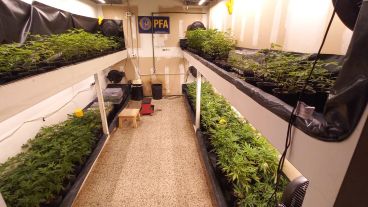 El superindoor ideado por un ingeniero industrial, desbaratado por la Policía Federal.