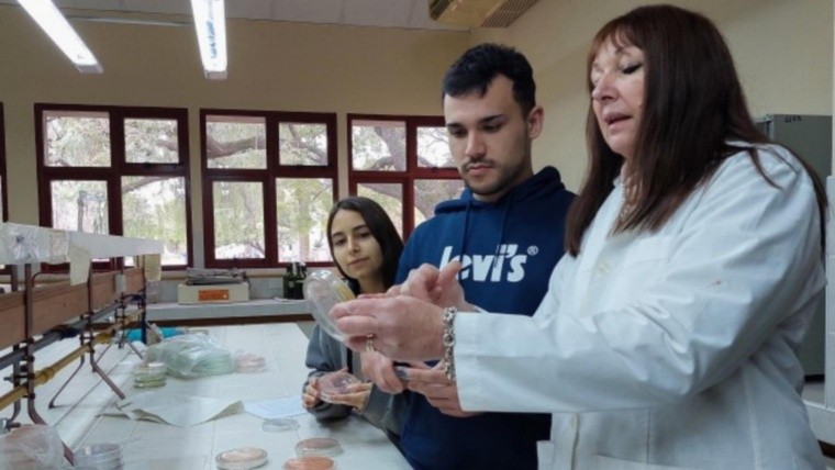Santafesinos crean solución biotecnológica para el desarrollo de inoculantes