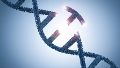 Cómo Google y sus desarrollos de inteligencia artificial permiten identificar mutaciones en el ADN