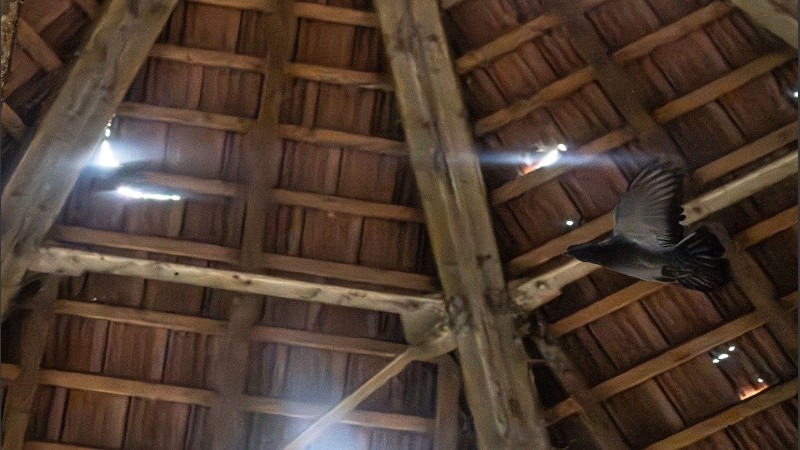 El techo del Palomar por dentro, donde ingresan haces de luz y de lluvia producto de sus varias roturas. (Ana Isla/Rosario3)