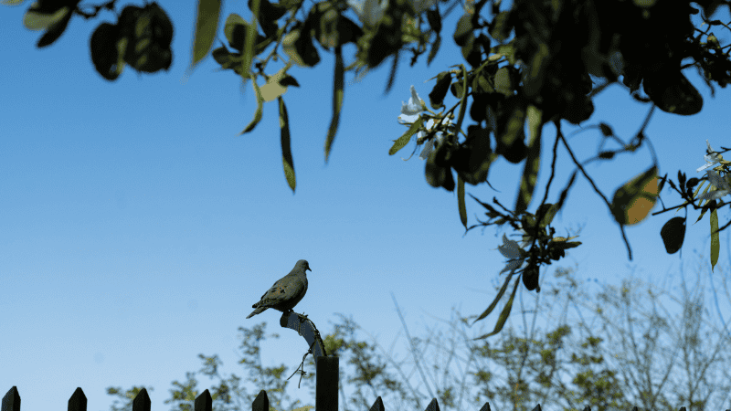 Sol y buen clima para este sábado.