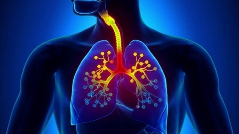 El ritmo respiratorio suele verse alterado por situaciones de estrés o ansiedad.