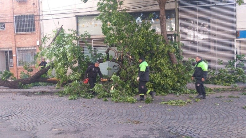 La ciudad continúa en alerta amarilla por vientos.