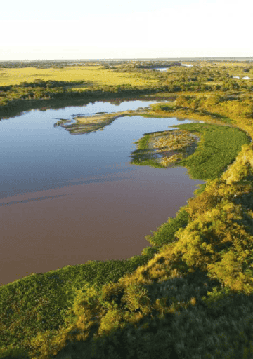 Santa Fe tiene su inventario de humedales: cuántos son, dónde están y para qué sirve el mapeo