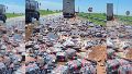 Video: un camión volcó toda su carga de una reconocida marca de gaseosa en una ruta de Santa Fe