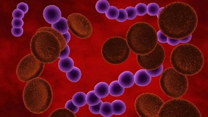 Puede presentarse en forma grave o enfermedad invasiva (SGAI), las que deben prevenirse.