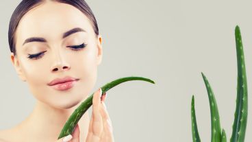 Sus propiedades hidratantes, antisépticas y descongestivas son las más destacadas.