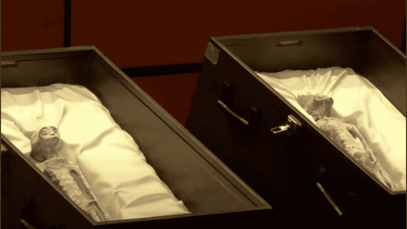 A los cuerpos los nombraron como Clara y Mauricio.