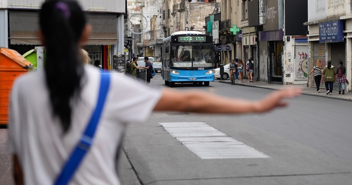 Paro de colectivos el martes que viene: ciudades del interior adhieren ...