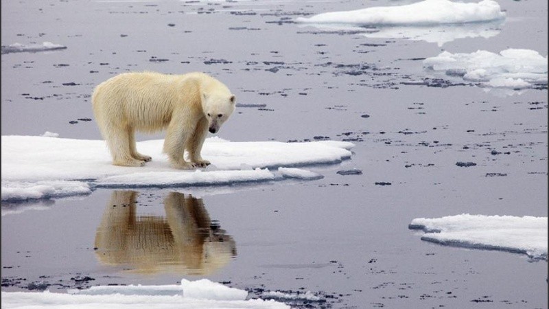 Los dos años más calurosos de la década pasada fueron 2016 y 2020.