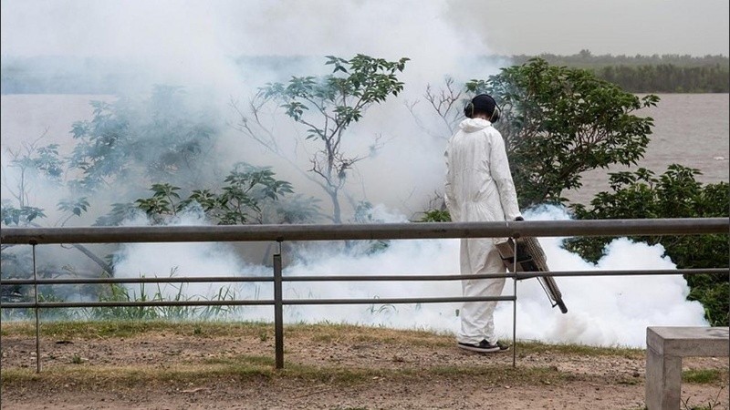 Las estrategias de prevención se basan en la intensificación de controles focales en espacios verdes.