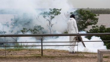 Las estrategias de prevención se basan en la intensificación de controles focales en espacios verdes.