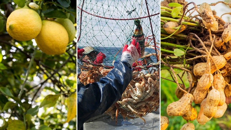 Productores e industrias derivadas del limón, la pesca y el maní pidieron no pagar la alícuota del 15% por derechos de exportación.
