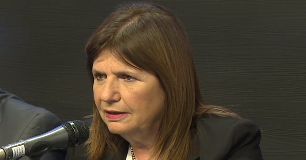Patricia Bullrich tras la marcha a Plaza de Mayo: "Hoy hubo libre ...
