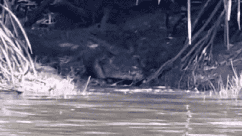 El video acumuló 1,9 millones de visitas y más de 700 comentarios desde su publicación.