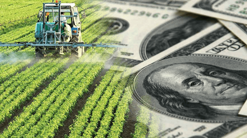 La agroindustria es la principal fuente de ingresos de dólares al país