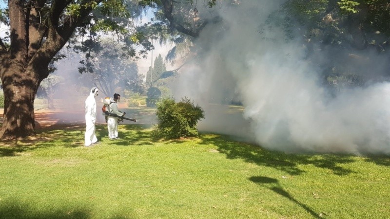 Este miércoles hubo fumigaciones en los parques Independencia, Sur, Héroes de Malvinas y en la plaza Alberdi.