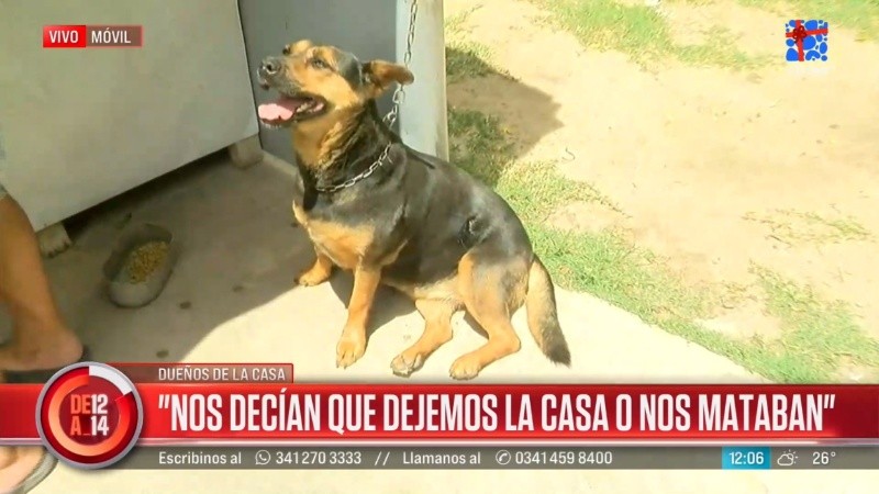 Negrita, la perra de la familia que fue atacada.