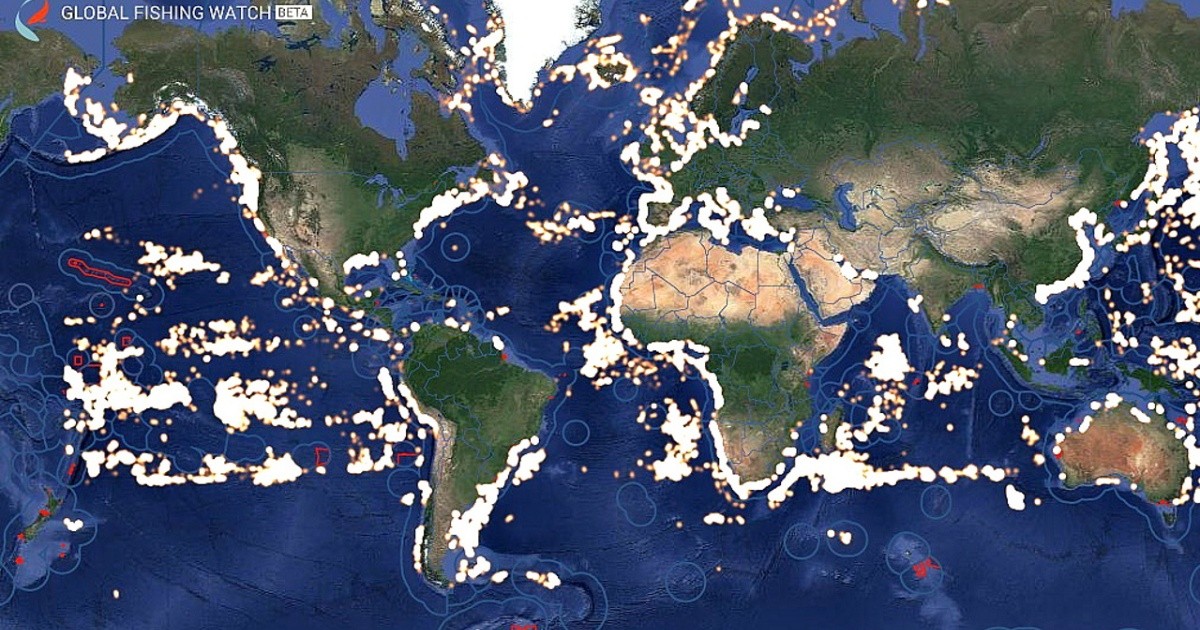 The map allows us to track human activity in the oceans and shows the areas with the greatest fishing vessel activity