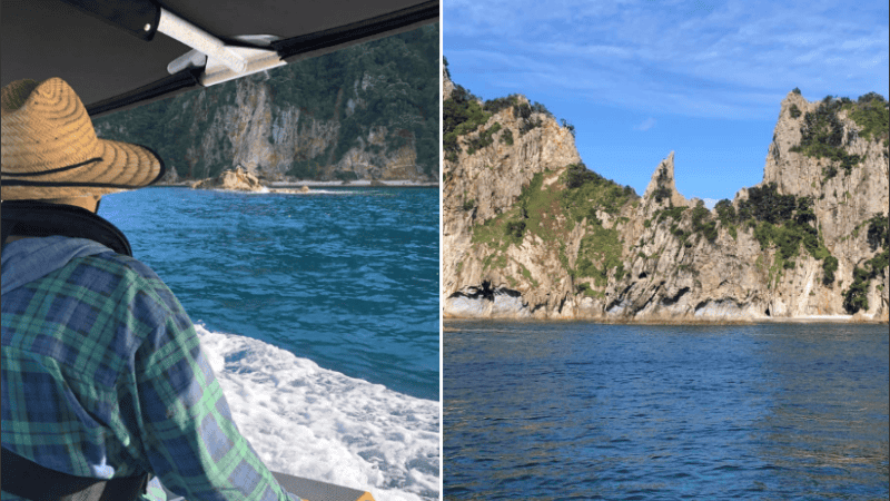 El hombre afirmó que un tiburón lo 