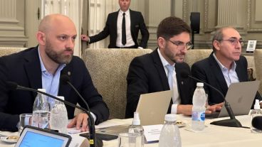 La semana pasada Puccini participó de distintas reuniones con funcionarios nacionales para discutir el tema.