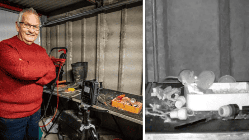 Las imágenes recuerdan a la película animada Ratatouille de 2007.