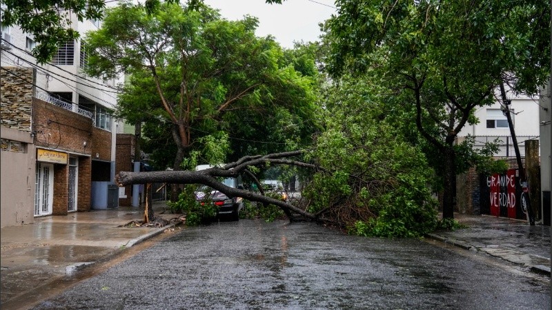 Un temporal azotó la ciudad este martes de enero.