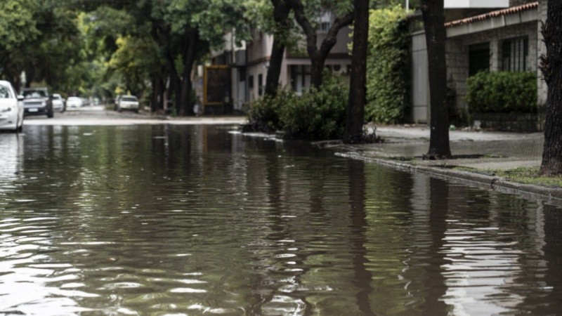 Un temporal azotó la ciudad este martes de enero.