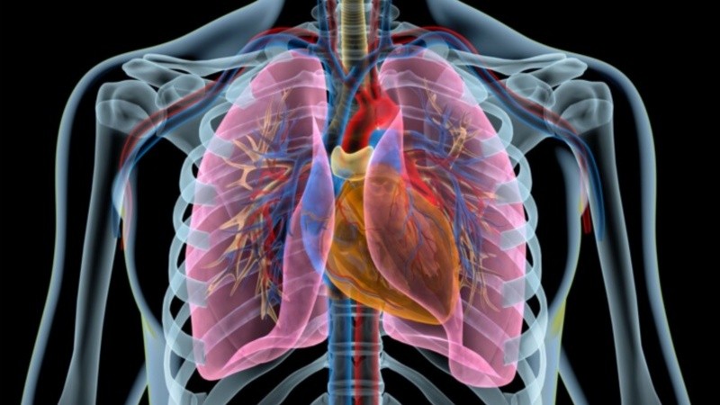 El estudio podría sentar las bases para desarrollar nuevos fármacos en pos de posibles tratamientos.