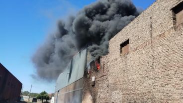 Las llamas rápidamente se expandieron por el galpón.