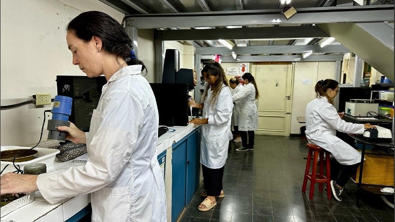 Investigadoras y becarias del Laboratorio de Investigación, Desarrollo y Evaluación de Alimentos durante una jornada habitual.