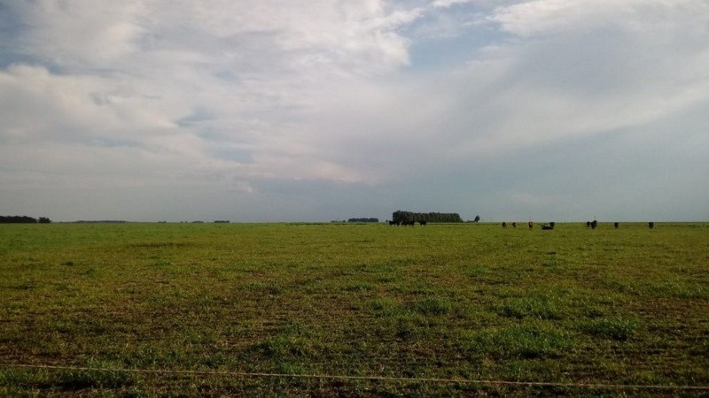 Desde la Bolsa de Comercio de Rosario destacaron que las lluvias 