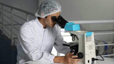 La descubrieron investigadores estadounidenses.