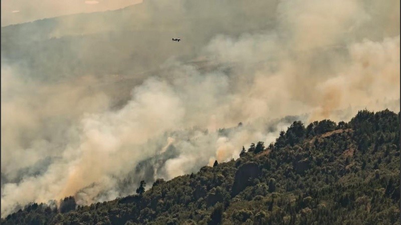 Desde el 25 de enero el fuego azotó a casi 8 mil hectáreas.