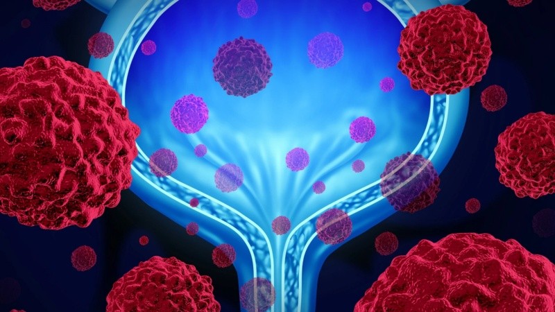 Actualmente en Argentina hay sólo un 60% de respuestas 