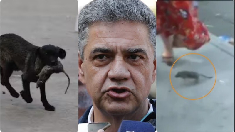 El momento sucedió cuando el jefe de Gobierno estaba dando una conferencia en Retiro.